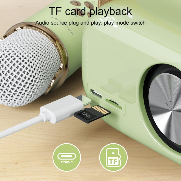Haut-parleur karaoké multifonction Bluetooth C20 Plus avec microphone