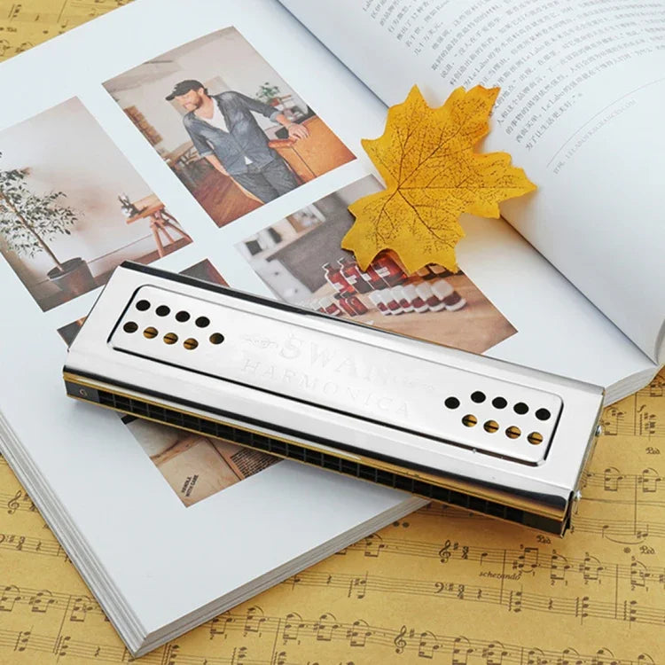 Harmonica Swan SW24-12A 24 trous double face, polyphonie, coffret pour débutants, adultes et enfants, performances de scène.