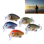 HENGJIA 5 Pcs 2,7 cm/1,5 g Leurre de pêche Luya Rock, Kit de leurres bioniques avec boîte en plastique, Box008