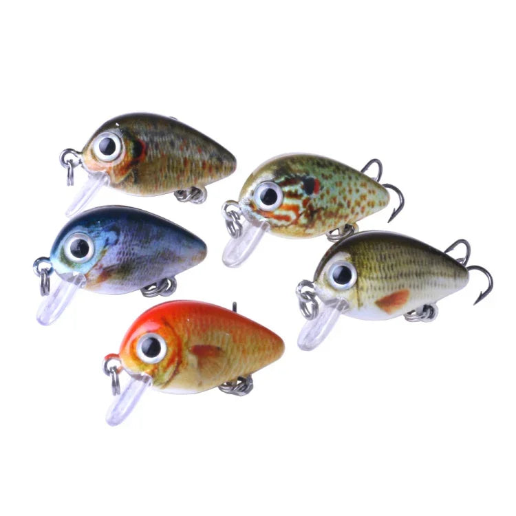 HENGJIA 5 Pcs 2,7 cm/1,5 g Leurre de pêche Luya Rock, Kit de leurres bioniques avec boîte en plastique, Box008