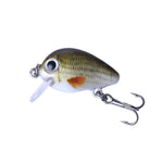HENGJIA 5 Pcs 2,7 cm/1,5 g Leurre de pêche Luya Rock, Kit de leurres bioniques avec boîte en plastique, Box008