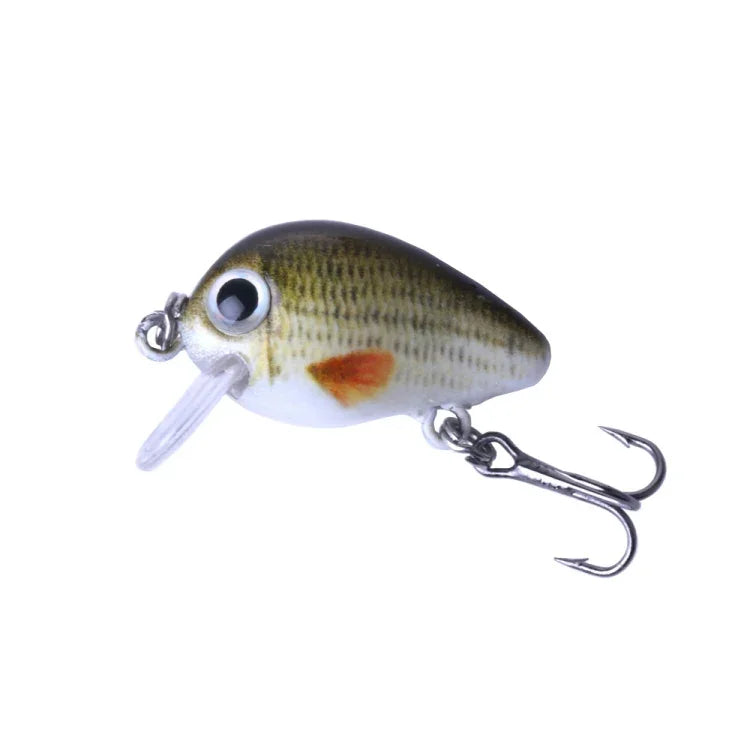 HENGJIA 5 Pcs 2,7 cm/1,5 g Leurre de pêche Luya Rock, Kit de leurres bioniques avec boîte en plastique, Box008