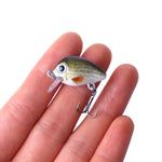 HENGJIA 5 Pcs 2,7 cm/1,5 g Leurre de pêche Luya Rock, Kit de leurres bioniques avec boîte en plastique, Box008