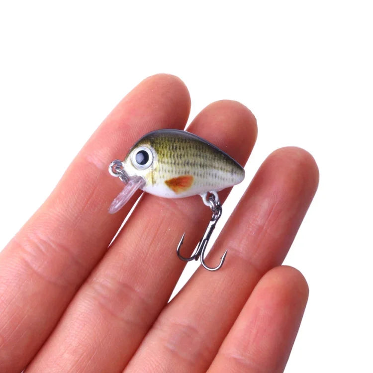 HENGJIA 5 Pcs 2,7 cm/1,5 g Leurre de pêche Luya Rock, Kit de leurres bioniques avec boîte en plastique, Box008