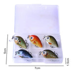 HENGJIA 5 Pcs 2,7 cm/1,5 g Leurre de pêche Luya Rock, Kit de leurres bioniques avec boîte en plastique, Box008