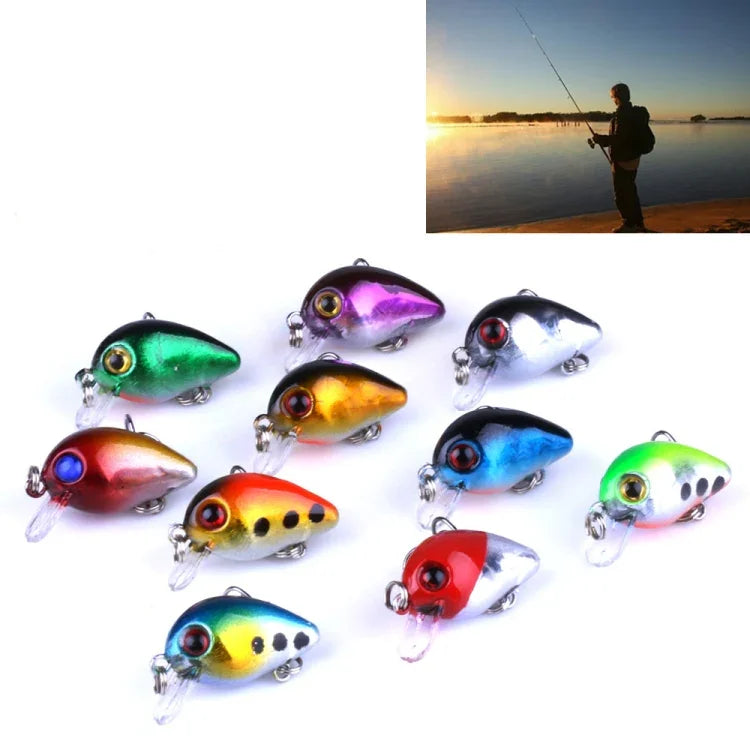 HENGJIA 10 leurres de pêche Luya Rock de 3 cm/1,5 g, kit bionique avec boîte en plastique, Box014