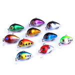 HENGJIA 10 leurres de pêche Luya Rock de 3 cm/1,5 g, kit bionique avec boîte en plastique, Box014