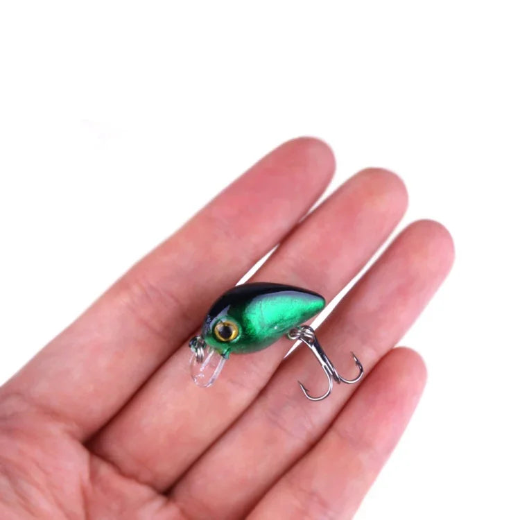 HENGJIA 10 leurres de pêche Luya Rock de 3 cm/1,5 g, kit bionique avec boîte en plastique, Box014