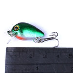 HENGJIA 10 leurres de pêche Luya Rock de 3 cm/1,5 g, kit bionique avec boîte en plastique, Box014