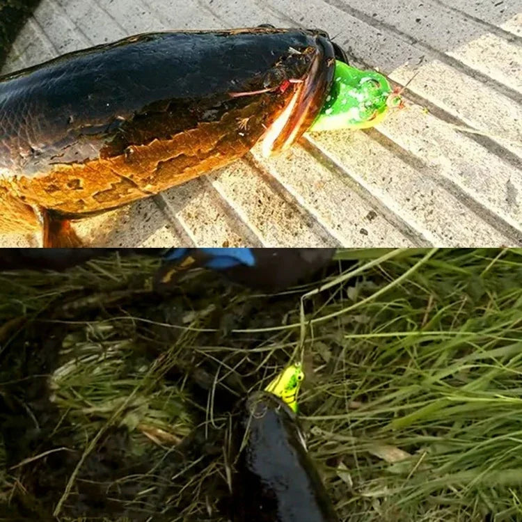 HENGJIA 5 Pcs Leurres Souples Pêche à l'Impact Appâts Grenouille Rayon avec Boîte en Plastique, Leurres Souples Pêche à l'Impact