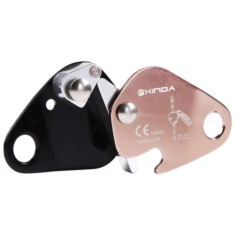 نص بديل للصورة