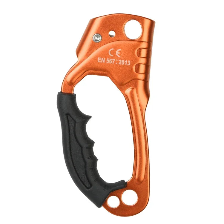 نص بديل للصورة