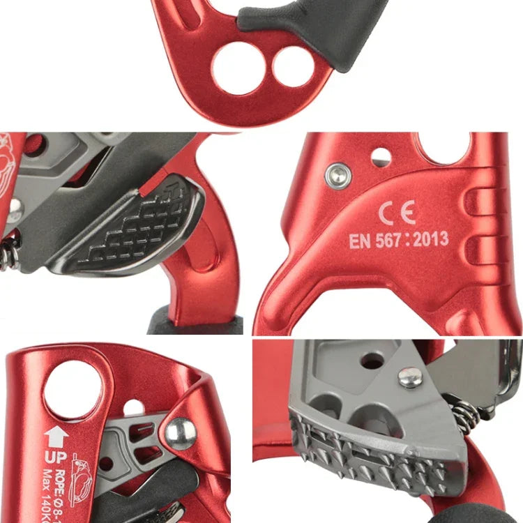 نص بديل للصورة