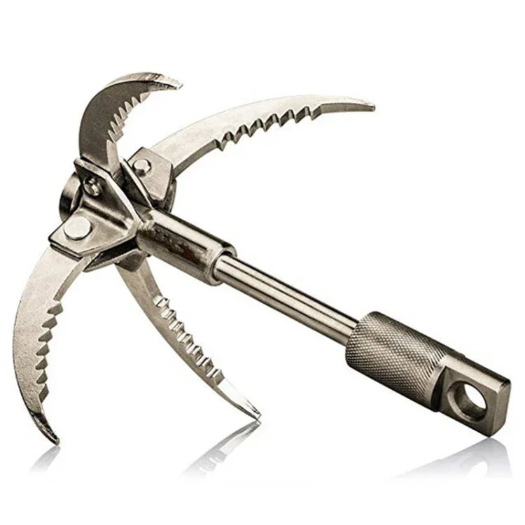 نص بديل للصورة