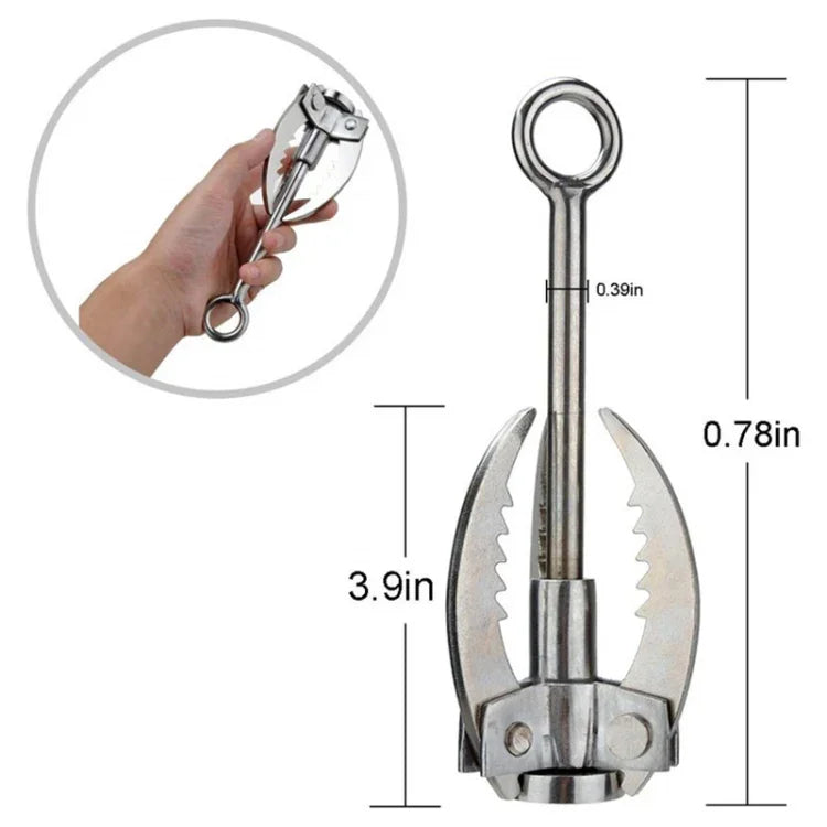 نص بديل للصورة