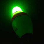 Flotteur lumineux de pêche électronique, 3.5cm/30g, 3.9cm/40g, 4.2cm/50g, 4.5cm/60g, 4.8cm/80g