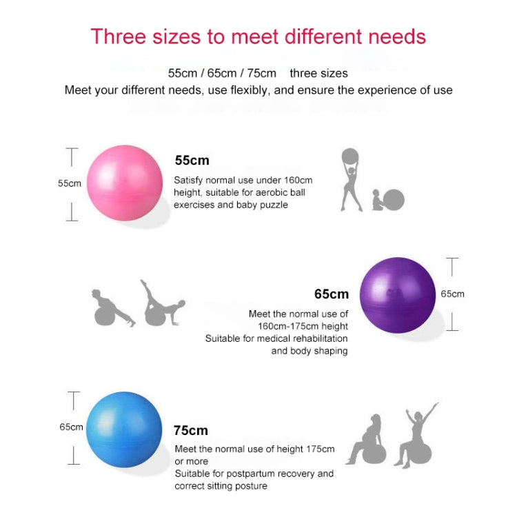 Gros ballon de yoga épaissi anti-explosion, ballon de fitness sportif écologique pour femmes enceintes, Diamètre : 65 cm, 65 cm (Rose), 65 cm (Bleu), 65 cm (Violet)