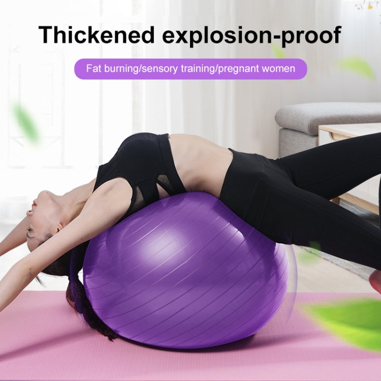 Gros ballon de yoga épaissi anti-explosion, ballon de fitness sportif écologique pour femmes enceintes, Diamètre : 65 cm, 65 cm (Rose), 65 cm (Bleu), 65 cm (Violet)