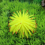 Articles de Décoration pour Aquarium Boule de Corail Urchin de Mer Simulation TPR avec Pointes, Taille : L, Diamètre : 13cm, 13cm