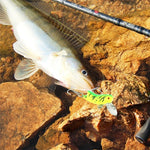 HENGJIA Appâts de pêche biomimétiques sauterelles volantes 4,5 cm, livraison couleur aléatoire, sauterelle