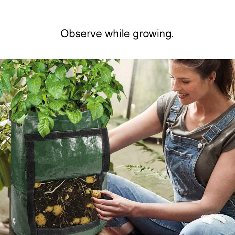 Sacs de plantation de pommes de terre PE 10 gallons Sacs de culture pour légumes Fournitures agricoles et de jardin, Taille : 35cm x 50cm, 35cm x 50cm