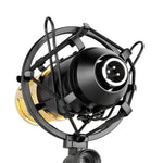 Microphone professionnel à condensateur FIFINE F-700 avec suspension antivibrations pour studio, radio et diffusion en direct, prise casque 3,5 mm, longueur de câble : 2,5 m