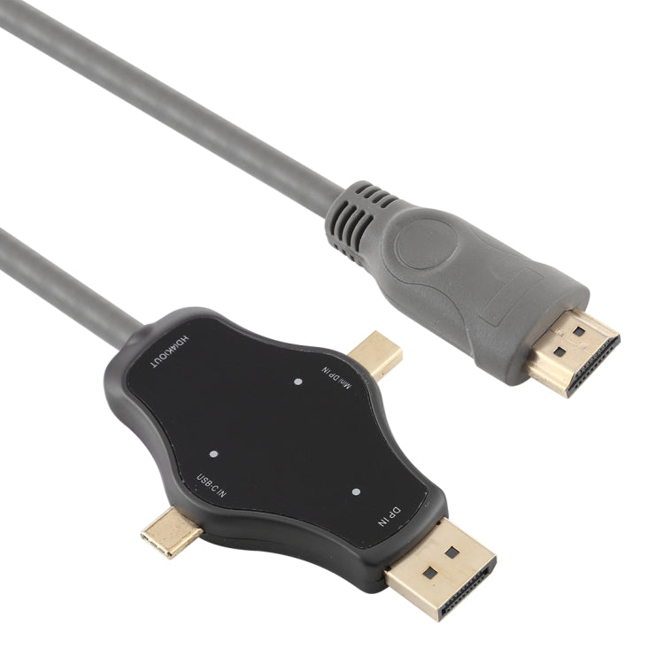 D65A Câble adaptateur vidéo 1,8 m DisplayPort In & Mini DP In & USB-C / Type-C In vers HDMI 4K Out, D65A