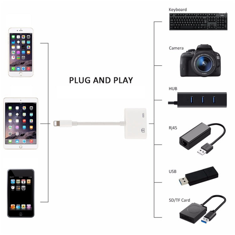 Câble de chargement de données 11 cm mâle 8 broches vers USB et 8 broches Adaptateur de lecteur d'appareil photo, supporte les systèmes à partir d'iOS 9.2