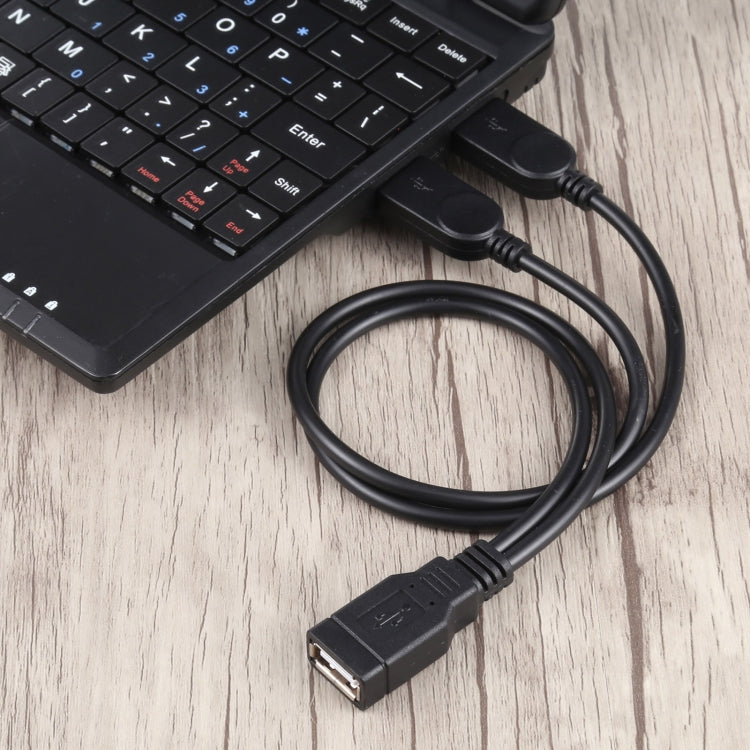 Câble USB femelle vers 2 USB mâles, longueur : environ 30 cm