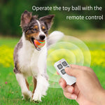 Jouet pour animaux de compagnie intelligent O1, balle lumineuse d'entraînement pour chien, télécommande