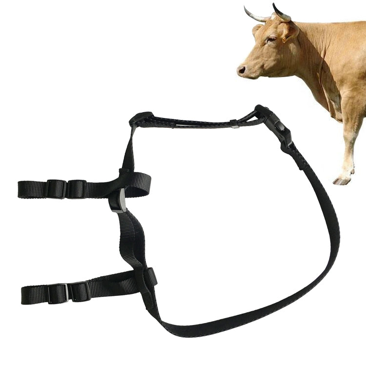 Ensemble de localisation de bovins V34/V44 Dispositif antivol de suivi d'animaux Collier de positionnement GPS, pour bovins