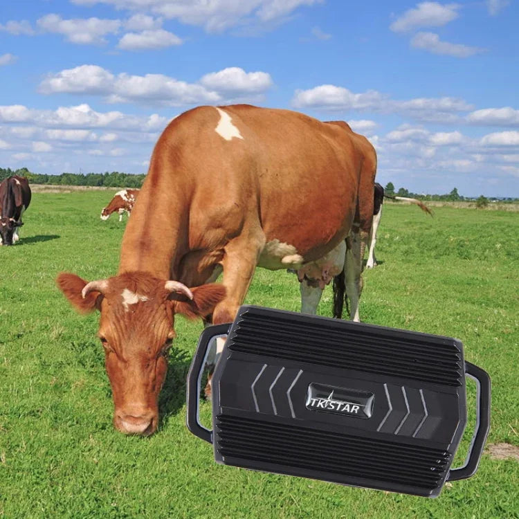 Traceur GPS TKSTAR TK935 3000mAh pour animaux de compagnie, bétail, voiture, étanche, localisateur TK935