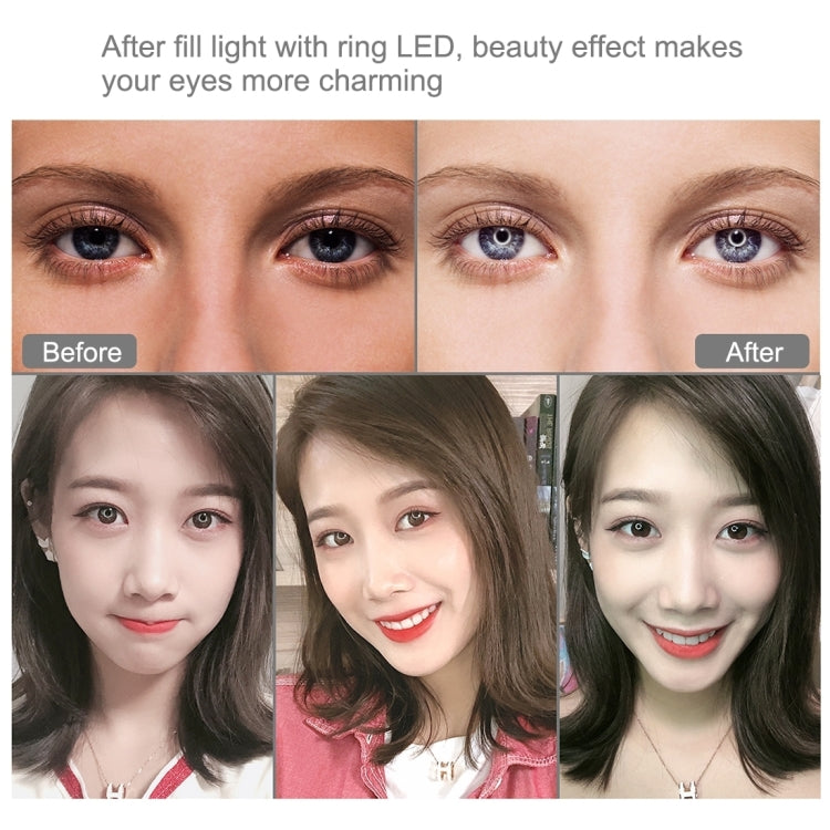 PULUZ Anneau LED RGBW dimmable USB 6,2 pouces 16 cm Lumières vidéo photo vlog avec tête de trépied à rotule et télécommande, 6,2 pouces RGBW / Télécommande