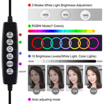 PULUZ Anneau LED RGBW dimmable USB 6,2 pouces 16 cm 10 modes 8 couleurs Lumières vidéo photo vlog avec tête de trépied à rotule, 6,2 pouces RGBW