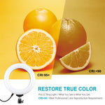PULUZ Anneau LED RGBW dimmable USB 6,2 pouces 16 cm 10 modes 8 couleurs Lumières vidéo photo vlog avec tête de trépied à rotule, 6,2 pouces RGBW
