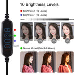 PULUZ Lumières vidéo LED anneau incurvé 10,2 pouces 26cm USB 3 modes, température de couleur double, gradable, pour vlogging, selfie, photographie, avec télécommande Bluetooth, support de bureau pliable et pince téléphone