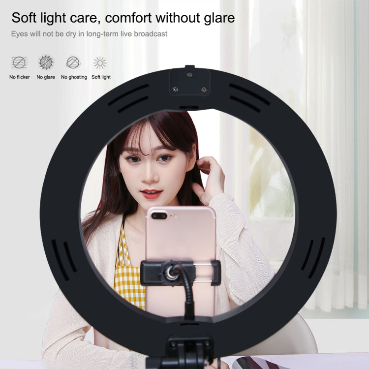 PULUZ Lumières vidéo LED anneau incurvé 10,2 pouces 26cm USB 3 modes, température de couleur double, gradable, pour vlogging, selfie, photographie, avec télécommande Bluetooth, support de bureau pliable et pince téléphone
