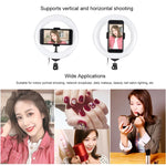 PULUZ Lumières vidéo LED anneau incurvé 7,9 pouces 20cm USB RGB, température de couleur double, gradable, pour vlogging, selfie, photographie, avec pince téléphone, 7,9 pouces RGBW