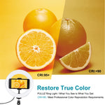 PULUZ Lumières vidéo LED anneau incurvé 7,9 pouces 20cm USB RGB, température de couleur double, gradable, pour vlogging, selfie, photographie, avec pince téléphone, 7,9 pouces RGBW