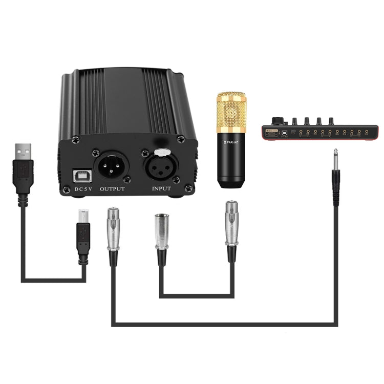 Kit microphone à condensateur PULUZ pour studio, diffusion et chant professionnel avec bras ciseaux suspendu, support anti-choc métallique et carte son USB, alimentation 48V, kit microphone 48V (or)