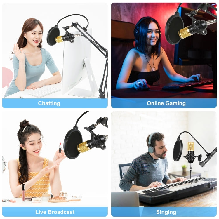 Kit microphone à condensateur PULUZ pour studio, diffusion et chant professionnel avec bras ciseaux suspendu, support anti-choc métallique et carte son USB, alimentation 48V, kit microphone 48V (or)