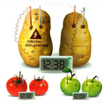 Kit éducatif horloge numérique DIY pomme de terre verte innovante avec écran LCD 2 pouces (pomme de terre NON incluse), Horloge numérique pomme de terre