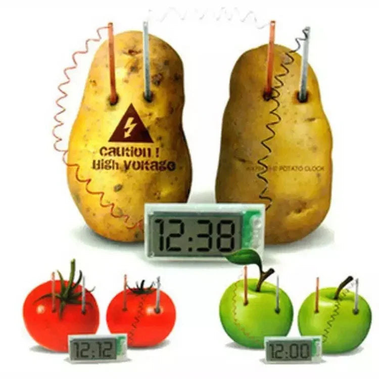 Kit éducatif horloge numérique DIY pomme de terre verte innovante avec écran LCD 2 pouces (pomme de terre NON incluse), Horloge numérique pomme de terre