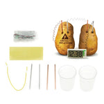 Kit éducatif horloge numérique DIY pomme de terre verte innovante avec écran LCD 2 pouces (pomme de terre NON incluse), Horloge numérique pomme de terre