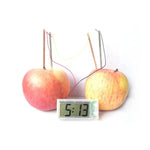 Kit éducatif horloge numérique DIY pomme de terre verte innovante avec écran LCD 2 pouces (pomme de terre NON incluse), Horloge numérique pomme de terre