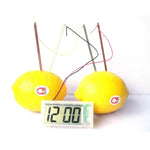 Kit éducatif horloge numérique DIY pomme de terre verte innovante avec écran LCD 2 pouces (pomme de terre NON incluse), Horloge numérique pomme de terre