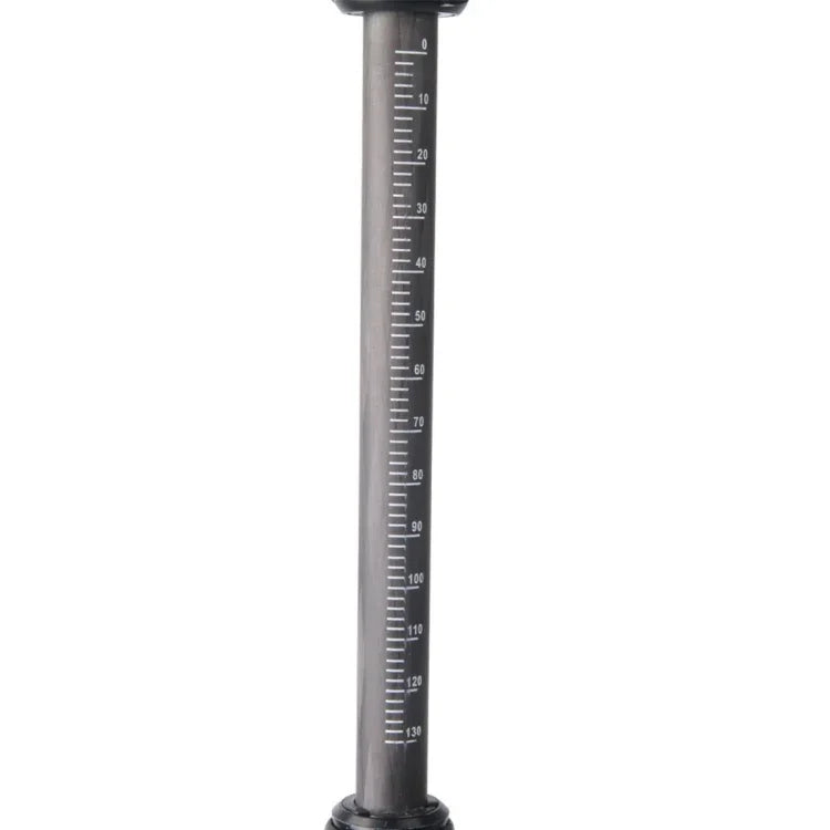 Stabilisateur professionnel à plaque réglable en fibre de carbone Letspro pour appareil photo / DV / reflex numérique / caméscope (SK-500)