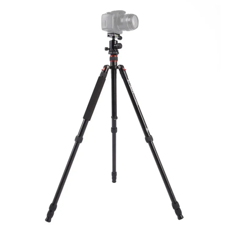 Trépied portable réglable en aluminium Triopo MT-2504C avec rotule NB-1S pour appareils photo reflex numériques Canon, Nikon et Sony, MT-2504C (noir), MT-2504C (or)