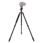 Trépied portable réglable en aluminium Triopo MT-2504C avec rotule NB-1S pour appareils photo reflex numériques Canon, Nikon et Sony, MT-2504C (noir), MT-2504C (or)