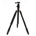 Trépied portable réglable en aluminium Triopo MT-2504C avec rotule NB-1S pour appareils photo reflex numériques Canon, Nikon et Sony, MT-2504C (noir), MT-2504C (or)